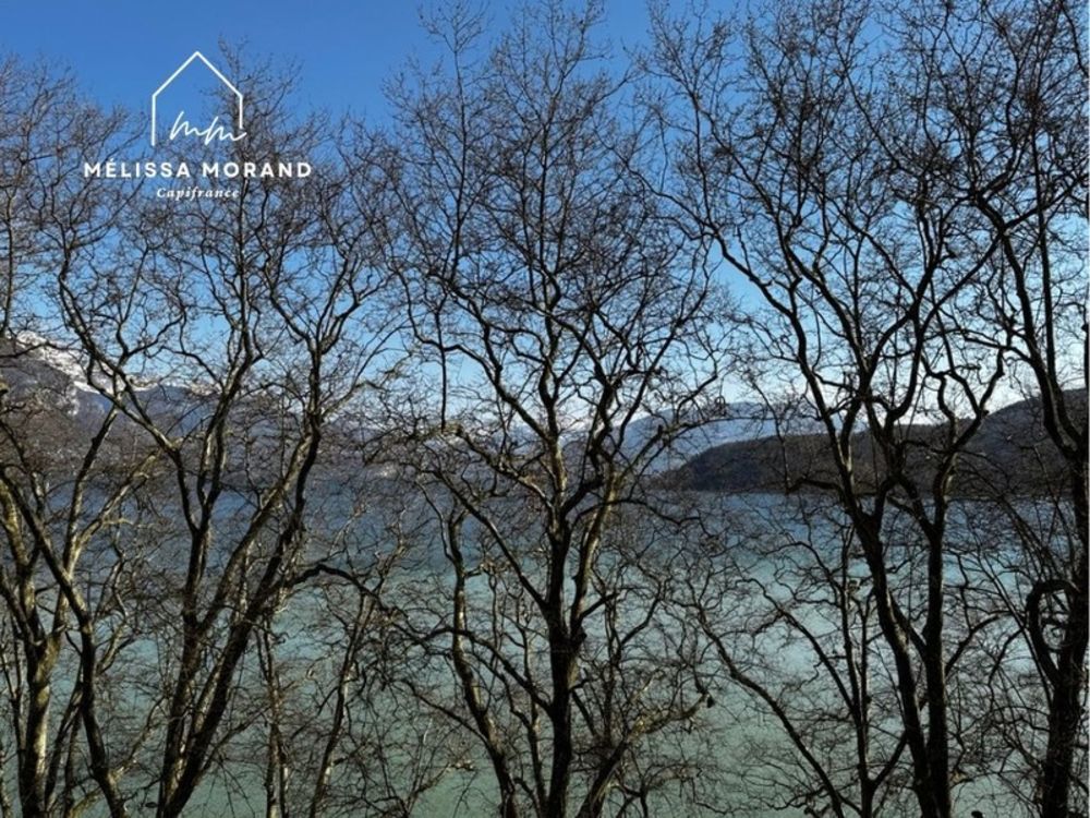 � vendre  Appartement Annecy (74000)