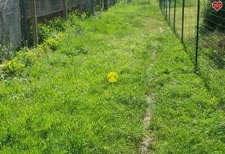  Terrain � vendre 1050 m�