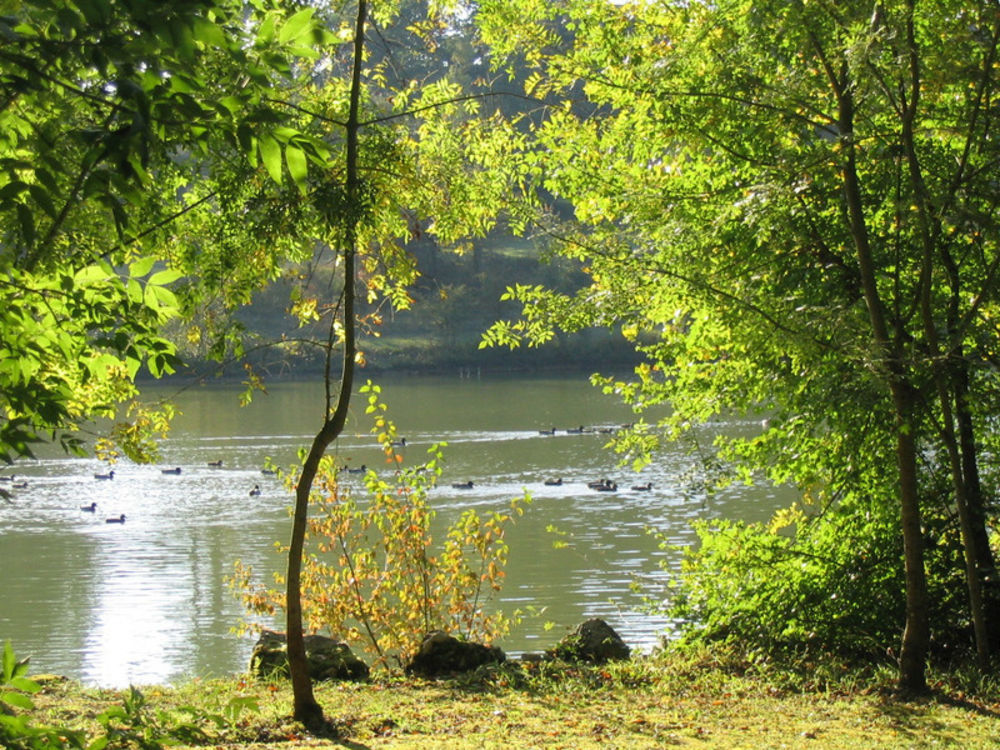 � vendre  Maison La Romieu (32480)