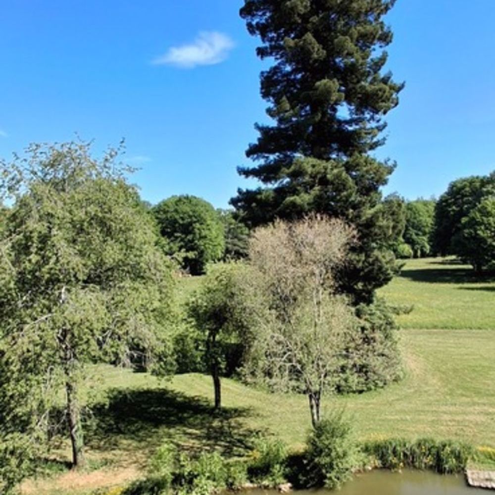 � vendre  Propri�t�/ch�teau Mor�e (41160)