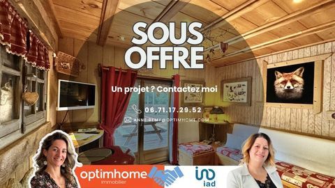   Hautes Vosges � Domaine avec 2 chalets meubl�s, �tang priv�, activit� locative en place - Terrain 4000m2 environ Propri�t�/ch�teau - 14 pi�ce(s) - 156 m�