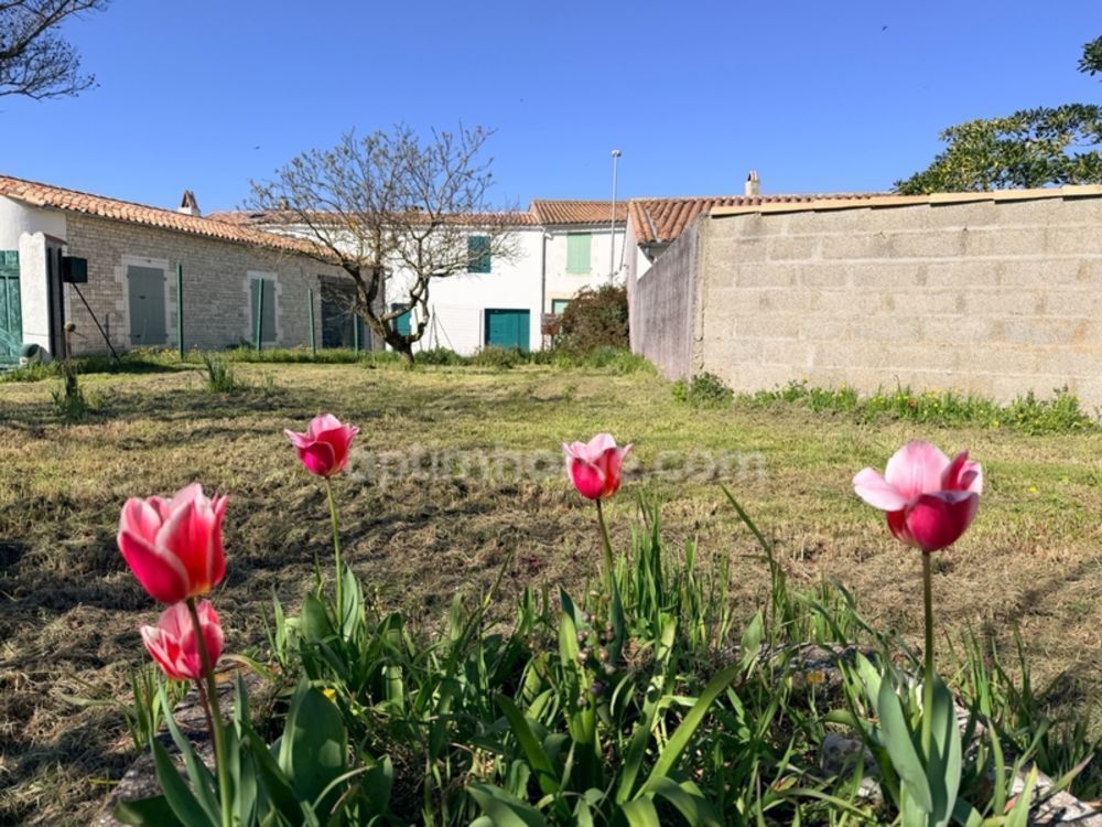 � vendre  Maison Le Bois-Plage-en-R� (17580)