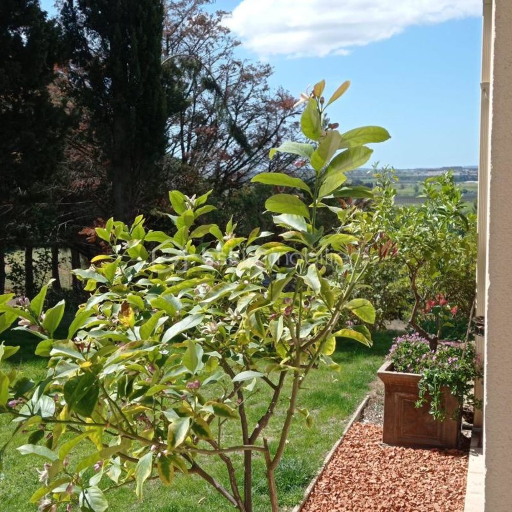 � vendre  Villa Maraussan (34370)