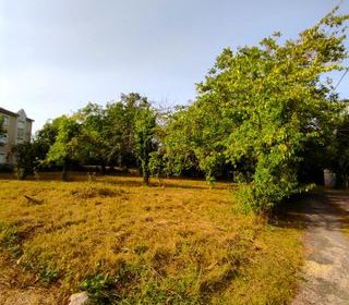  Terrain � vendre 834 m�