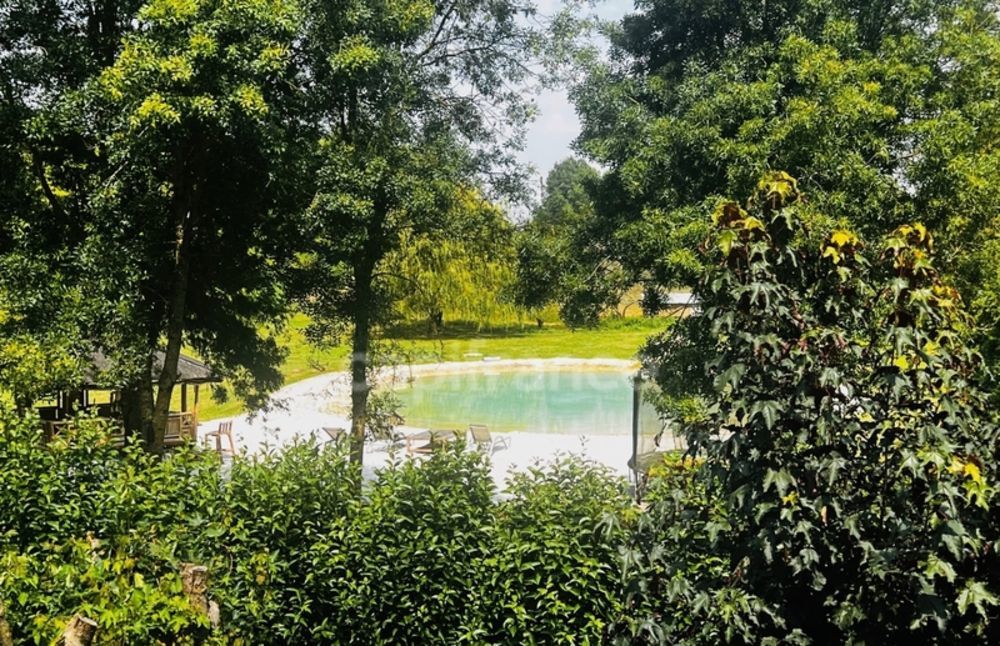 � vendre  Propri�t�/ch�teau Anais (17540)