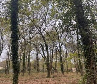  Terrain � vendre 2700 m�