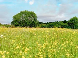  Terrain � vendre 2800 m�