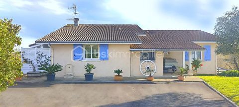   Grande maison familiale de charme avec vue imprenable sur les Pyr�n�es � Sous-sol enti�rement am�nag� - Grand terrain cl�tur� et Maison - 8 pi�ce(s) - 152 m�