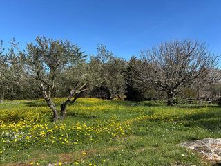  Villa � vendre 8 pi�ces 1069 m�