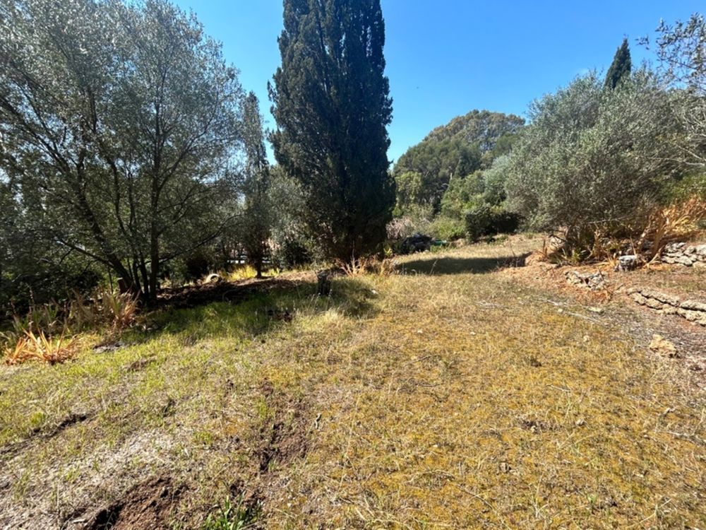 � vendre  Maison Les Issambres (83380)