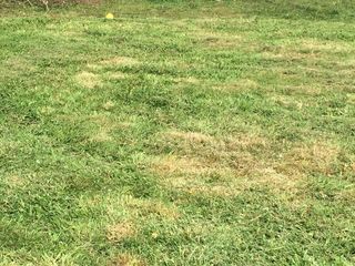  Terrain � vendre 604 m�