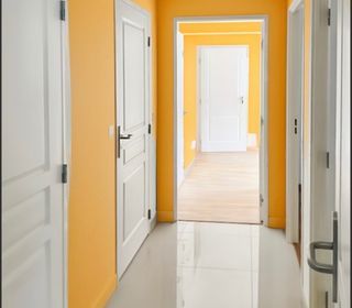  Immeuble � vendre 5 pi�ces 326 m�