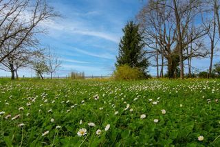  Terrain � vendre 699 m�