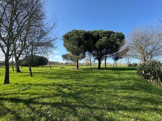  Maison � vendre 9 pi�ces 261 m�