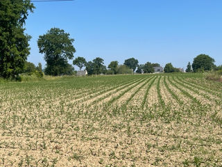  Terrain � vendre 9678 m�