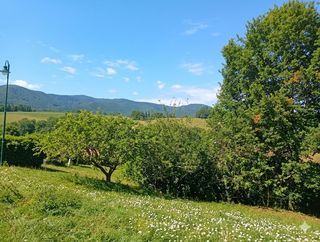  Terrain � vendre 905 m�