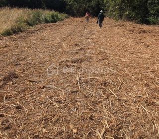  Terrain � vendre 870 m�