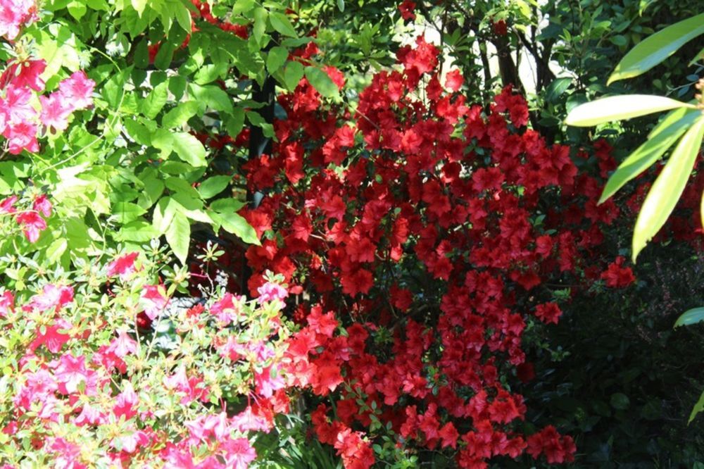 � vendre  Maison Versailles (78000)