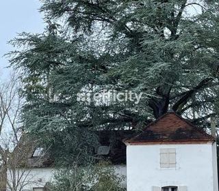  Maison � vendre 12 pi�ces 306 m�