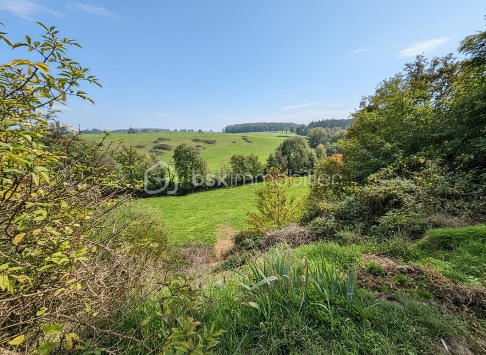 � vendre  Propri�t�/ch�teau Parigny (42120)