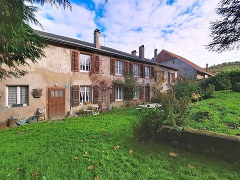 A LUBINE Maison de caract&egrave;re + activit&eacute; chambres d'h&ocirc;tes 481 m&sup2; Fort potentiel Cadre nature 241000 88100 88100 saint die des vosges