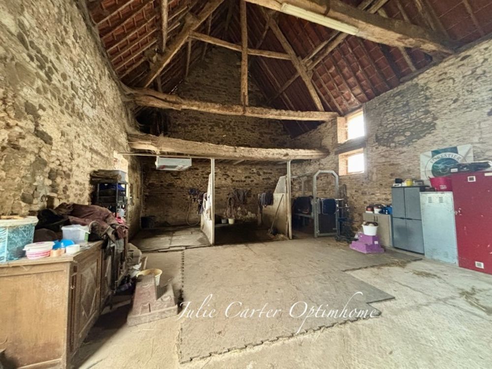 � vendre  Propri�t�/ch�teau Avoine (61150)