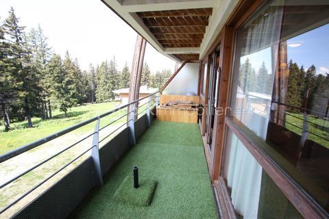   APPARTEMENT T2 SITU� NIVEAU 2 COMPRENANT ENTR�E AVEC COIN MONTAGNE, S�JOUR AVEC KITCHENETTE, UNE CHAMBRE, SALLE DE BAINS, WC, BA Appartement - 2 pi�ce(s) - 37 m�