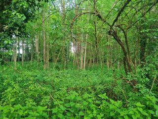  Terrain � vendre 34403 m�