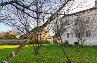  Appartement � vendre 9 pi�ces 256 m�