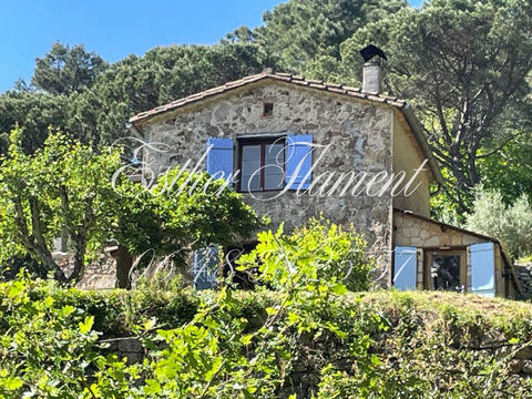   TERRAIN 2000 M2 ET MAZET RENOVE Propri�t�/ch�teau - 2 pi�ce(s) - 32 m�