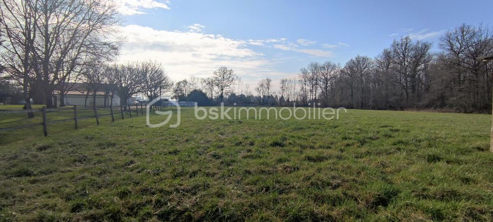 � vendre  Propri�t�/ch�teau Luynes (37230)