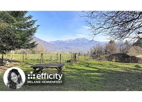   Appartement Appartement - 4 pi�ce(s) - 81 m�