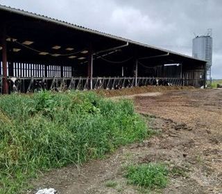  Propri�t�/ch�teau � vendre 5 pi�ces 144 m�