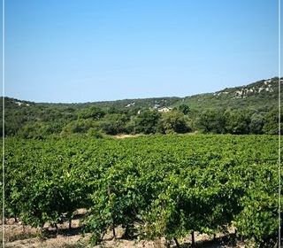  Maison � vendre 6 pi�ces 210 m�