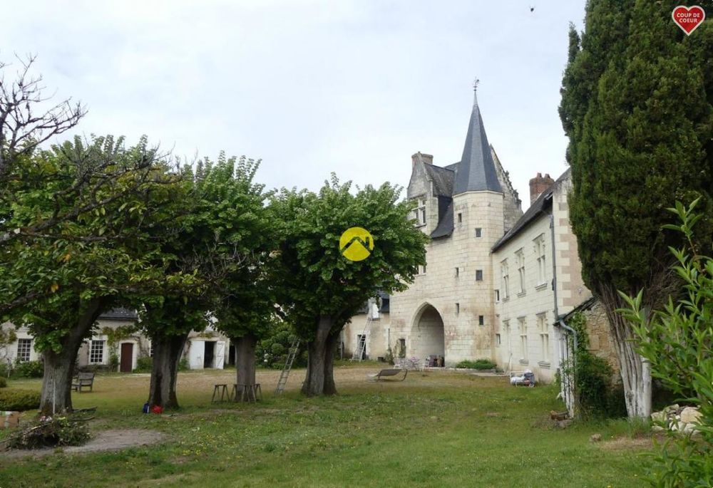 � vendre  Propri�t�/ch�teau Langeais (37130)