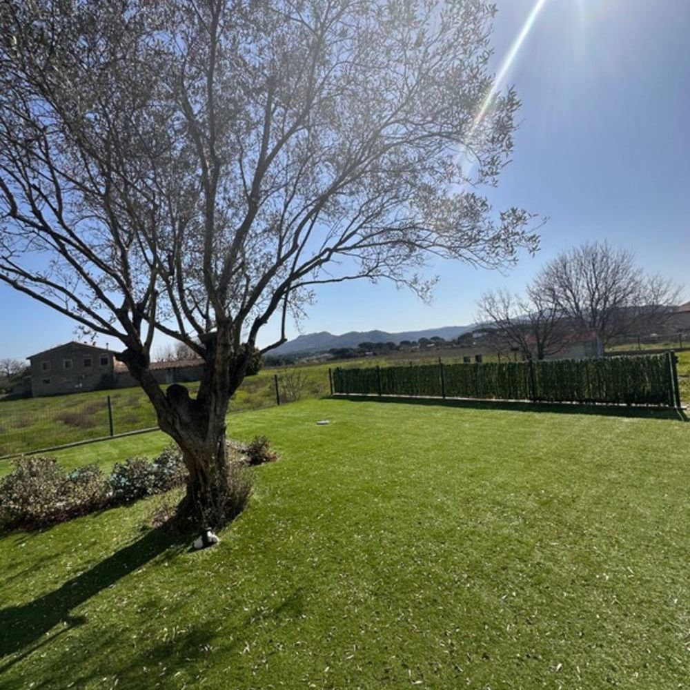 � vendre  Villa Le Muy (83490)