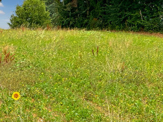  Terrain � vendre 3000 m�