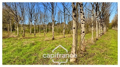   Rare sur le secteur ! Bergerie � r�nover avec plus de 4,2 hectares de terrain � Monflanquin Maison - 1 pi�ce(s) - 30 m�