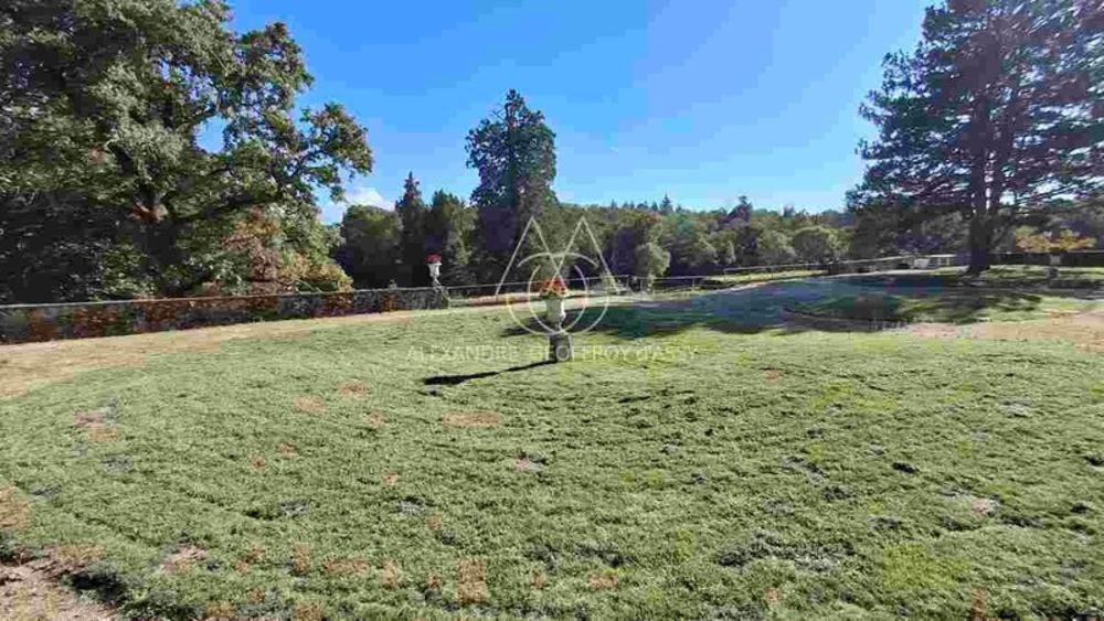 � vendre  Propri�t�/ch�teau Limoges (87000)