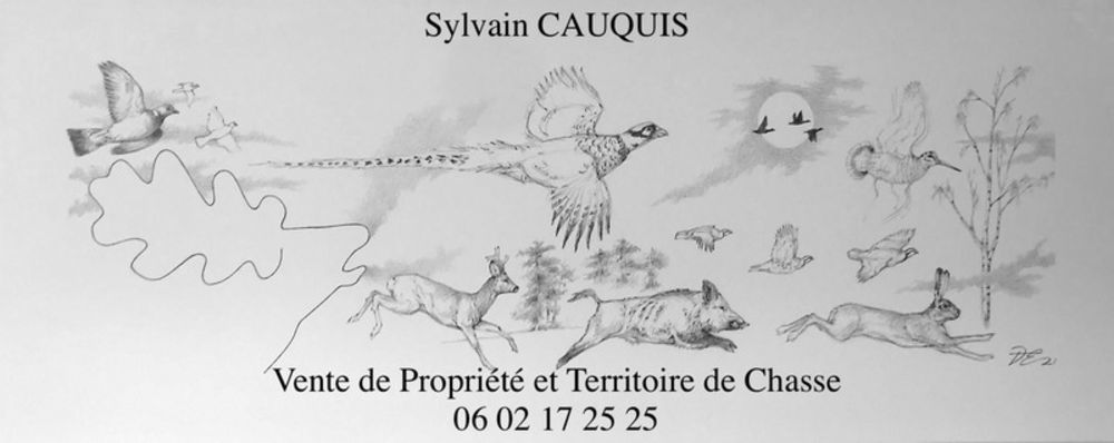 � vendre  Propri�t�/ch�teau Sennely (45240)