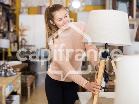 A VENDRE - EN EXCLUSIVITE FONDS DE COMMERCE DÉCORATION D'INTÉRIEUR - BAIE-MAHAULT 227000 97122 Baie mahault