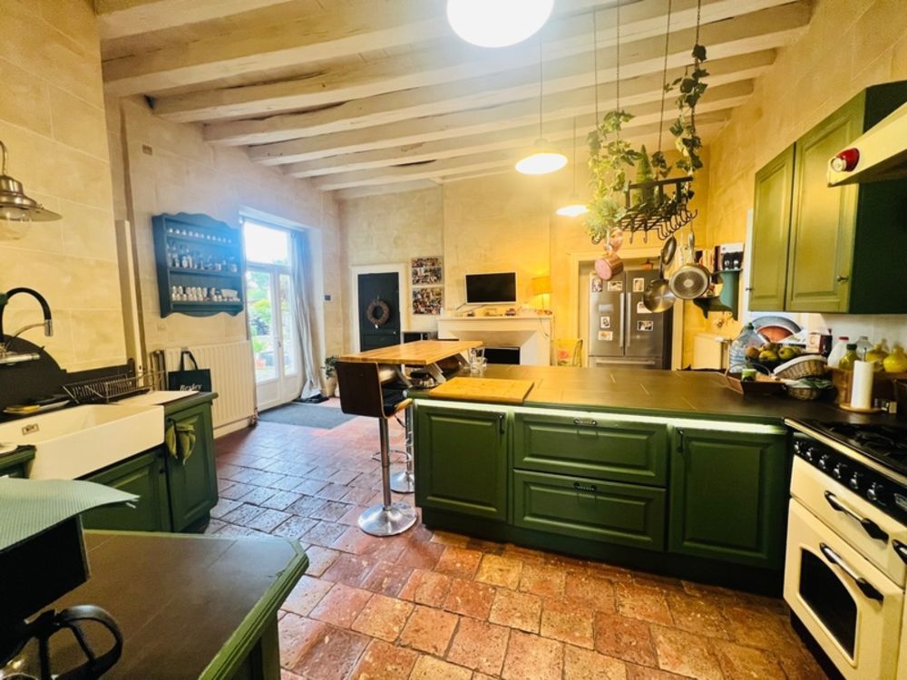 � vendre  Propri�t�/ch�teau Les Ormes (86220)