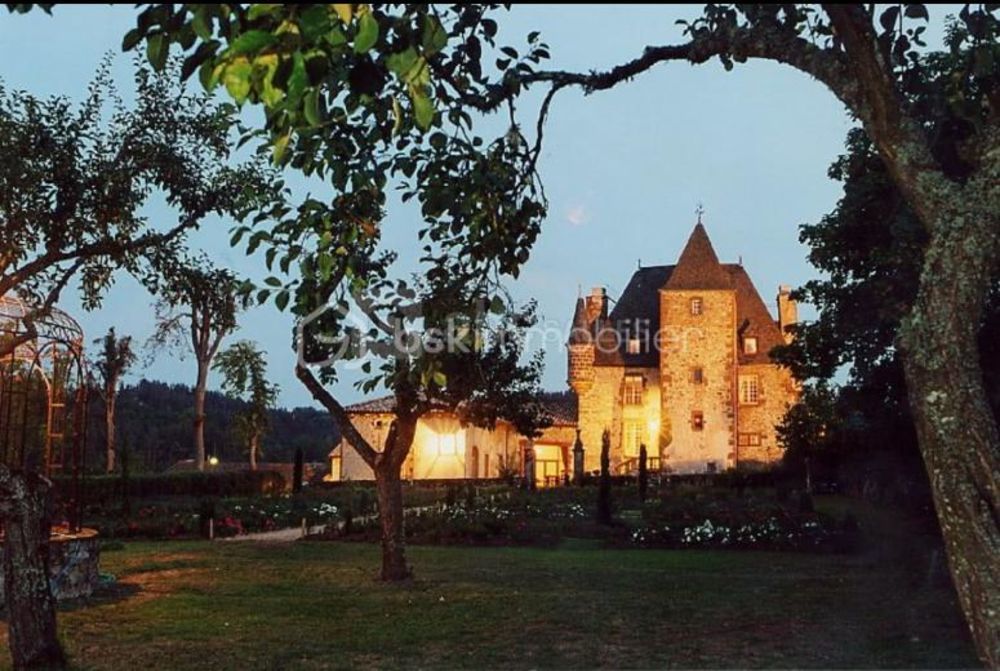 � vendre  Propri�t�/ch�teau Saint-Flour (15100)