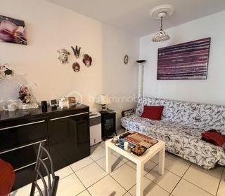  Appartement � vendre 3 pi�ces 46 m�