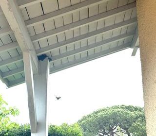  Maison � vendre 8 pi�ces 180 m�