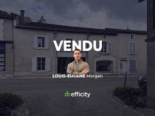  Immeuble � vendre 10 pi�ces 236 m�