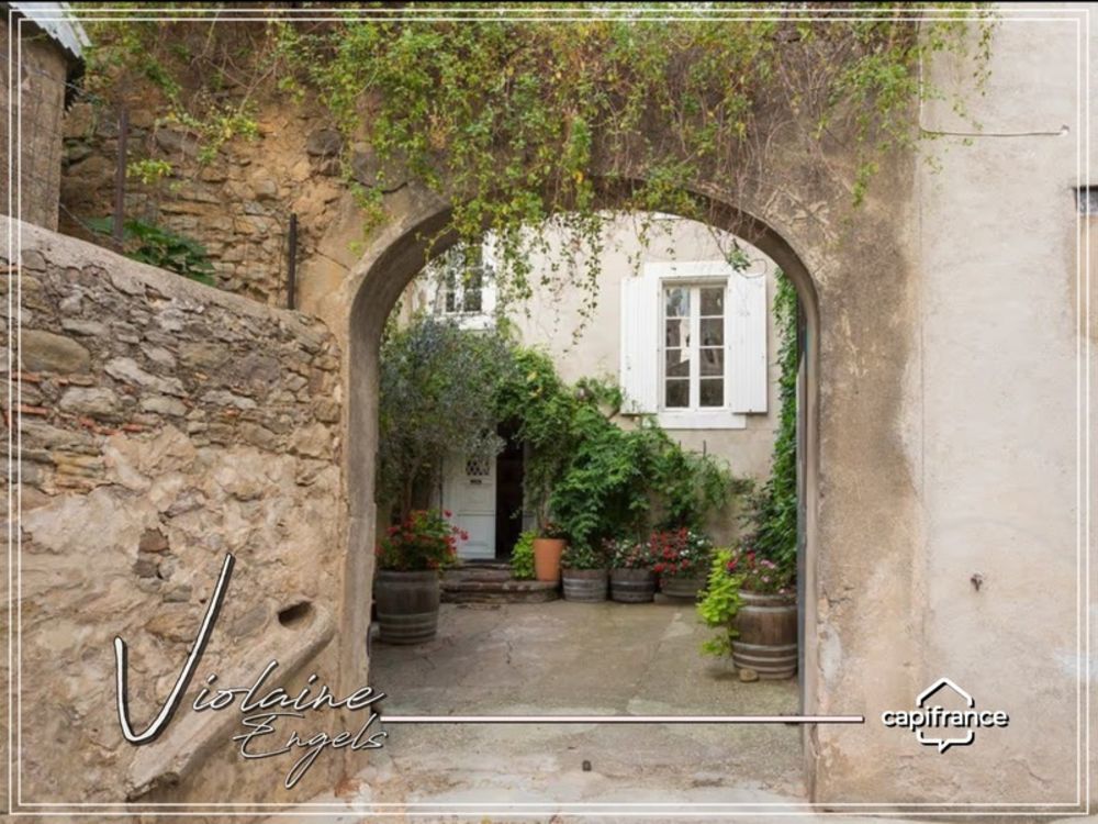 � vendre  Propri�t�/ch�teau Olonzac (34210)