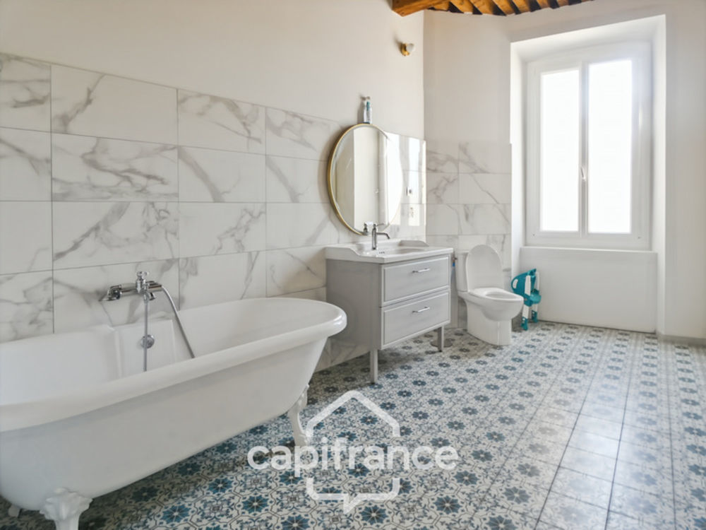 � vendre  Propri�t�/ch�teau Saint-Geni�s-de-Comolas (30150)