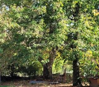  Ferme � vendre 6 pi�ces 200 m�