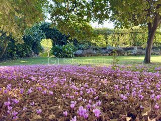  Maison � vendre 11 pi�ces 333 m�